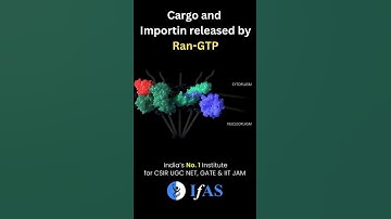 Protein Targeting I Mitochondria I Nucleus I Animation I IFAS