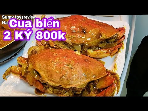 GẦN 2 KÝ CUA BiỂN RANG ME Chua Cay - Luật lệ giao thông ở Canada - YouTube