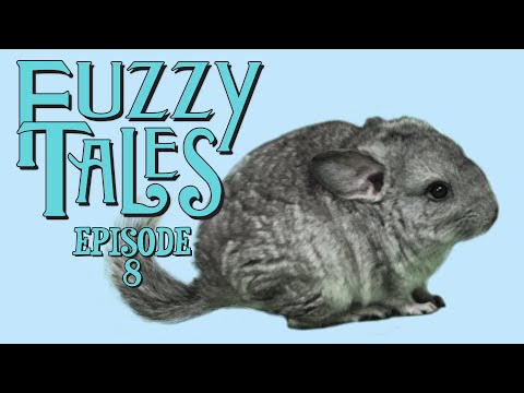 Fuzzy Tales | Ep 8 | Snoring Beauty | The Bone in the Stone | The Three Fuzzkate