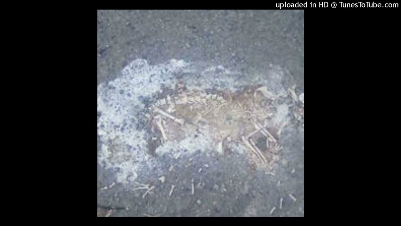 Project 13 Track 1: Couch Tune