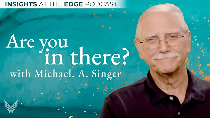 Are you in there? Michael Singer on Insights at th...