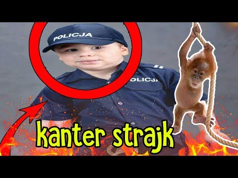 CS:GO z BRACMI GOLEC...  - CS:GO z BRACMI GOLEC... 
