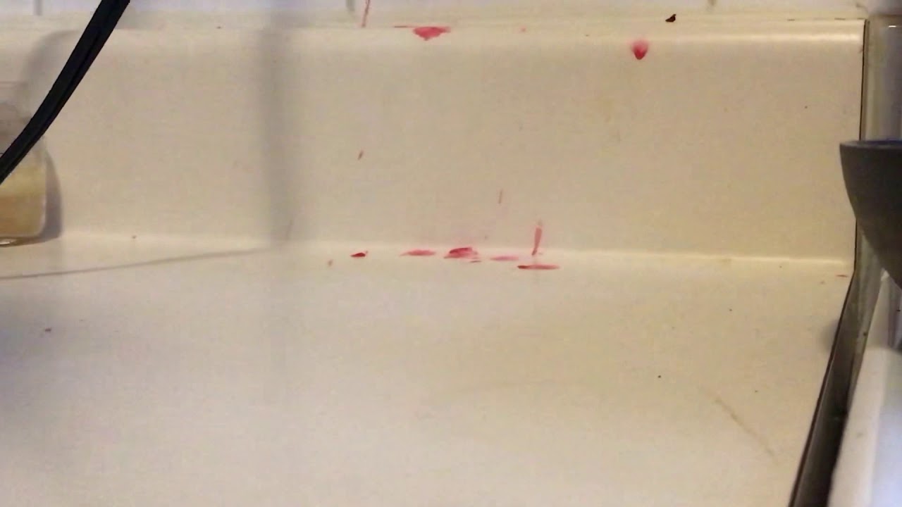 Getting wax off your counter top YouTube