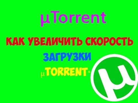 программу скачать для загрузки торрентов