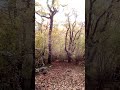 Мой понедельник начинается так...