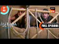 Naseeb Ka Khel Ali Baba Dastaan E Kabul Ep 40 Full Episode 6 Oct 2022 