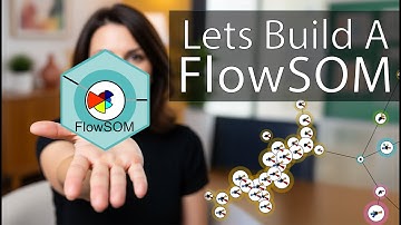 Why You Should Build a FlowSOM? Clustering your Cytometry Data