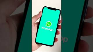 Whatsapp business new update 2022 whatsapp new update 2022 screenshot 2