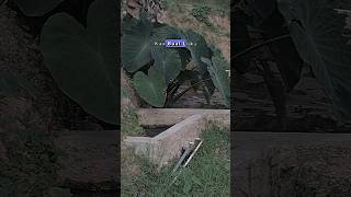 Gaskeun dj rap dj jedugjedug aesthetic jj s dance dj automobile