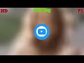12K HDR | Portrait Video Nanny Canon EosR5 + RF85 f1.2L DS | pink SDC editing cc #a380f #47667#74