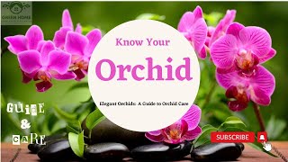 Delving into the Fascinating Realm of #orchid