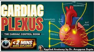 Cardiac Plexus Explained with Animation | The Hidden Network Behind Every Heartbeat ❤️