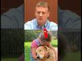 Neighbor Poisoned The Family Dog Over Barking — Then Had The Audacity To File A Lawsuit