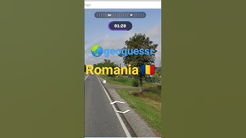 The famous Romanian holy pole, and pedestrian signs on the road and on the post  #geoguessr