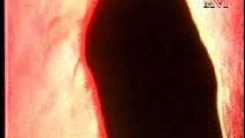 Behavior in Pharmaceutical clean room part 1