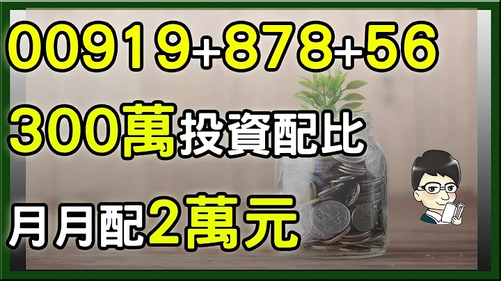 用300万组出00919、878、0056月月配2万元，殖利率达8.2%，这样买有看头 ? - 天天要闻