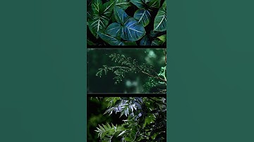 Dark Moody Color Grading in CapCut | Cinematic Color Grading Masterpiece | CapCut Tutorial