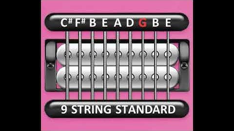 Perfect Guitar Tuner (9 String Standard = C# F# B E A D G B E)