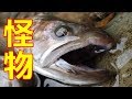 【福島渓流釣り】大イワナと怪物ヤマメが連発!!! ~Bait Fishing&Big Trout~