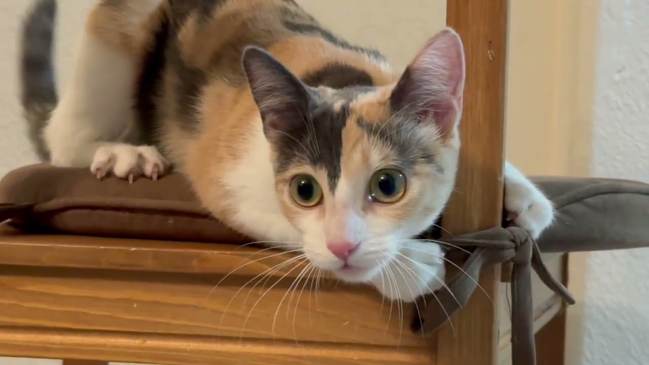 Follow us on Instagram: 