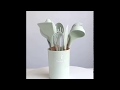 Video Image