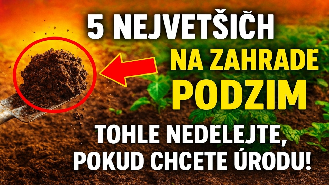 5 NEJVĚTŠÍCH CHYB NA ZAHRADĚ NA PODZIM. TOHLE NEDĚLEJTE, POKUD CHCETE ÚRODU!