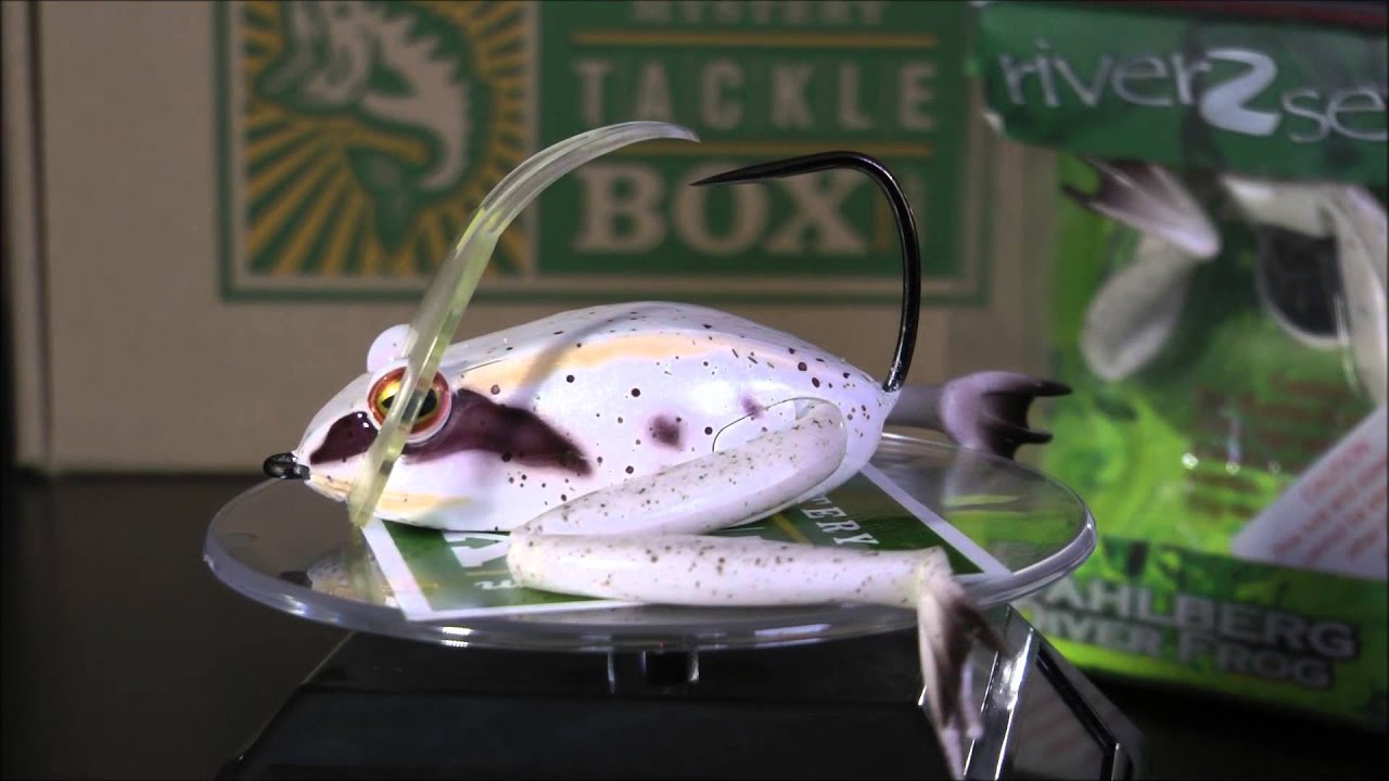 river 2 sea Darlburg Diver Frog 2個セット 【公式通販】