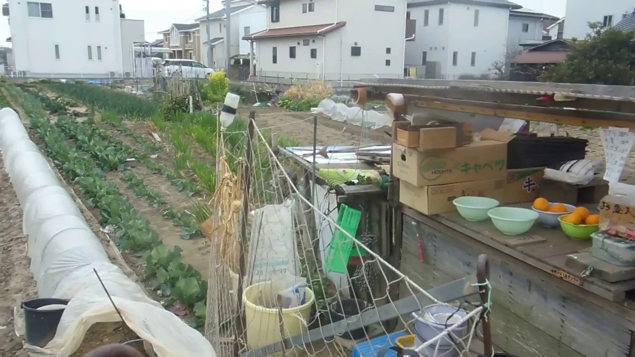 Old Style Meets Modern Japan