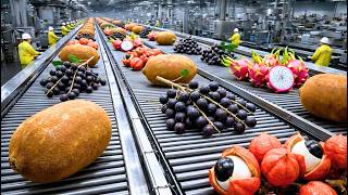 From Jungle Harvest to Factory Perfection – The Incredible Amazon Fruit Process