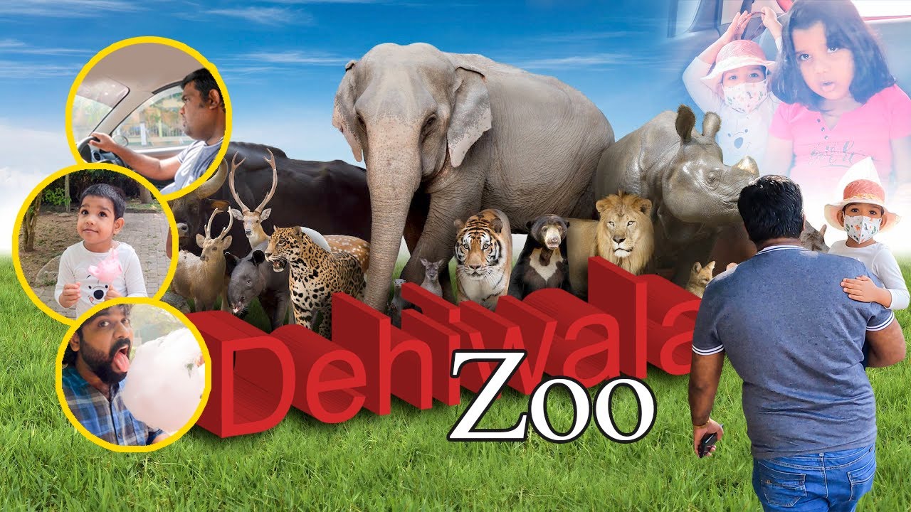 Day Outing in Dehiwala Zoo VLOG 17 sltamilvlogs Mr. Thanu YouTube