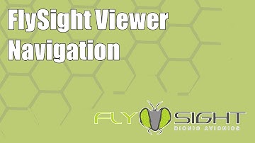 FlySight Viewer Navigation