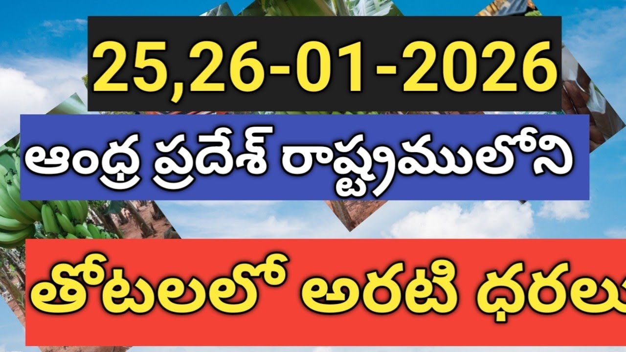 ఆంధ్ర ప్రదేశ్ రాష్ట్రములోని అరటి ధరలు today banana 🍌🍌🍌🍌 price in ఆంధ్ర ప్రదేశ్ 