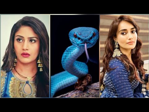 Surbhi chandna 🆚 Snake🐍🆚 Surbhi Jyoti