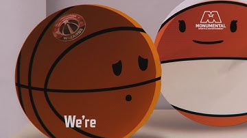 Leveling the Playing Field Partner Video