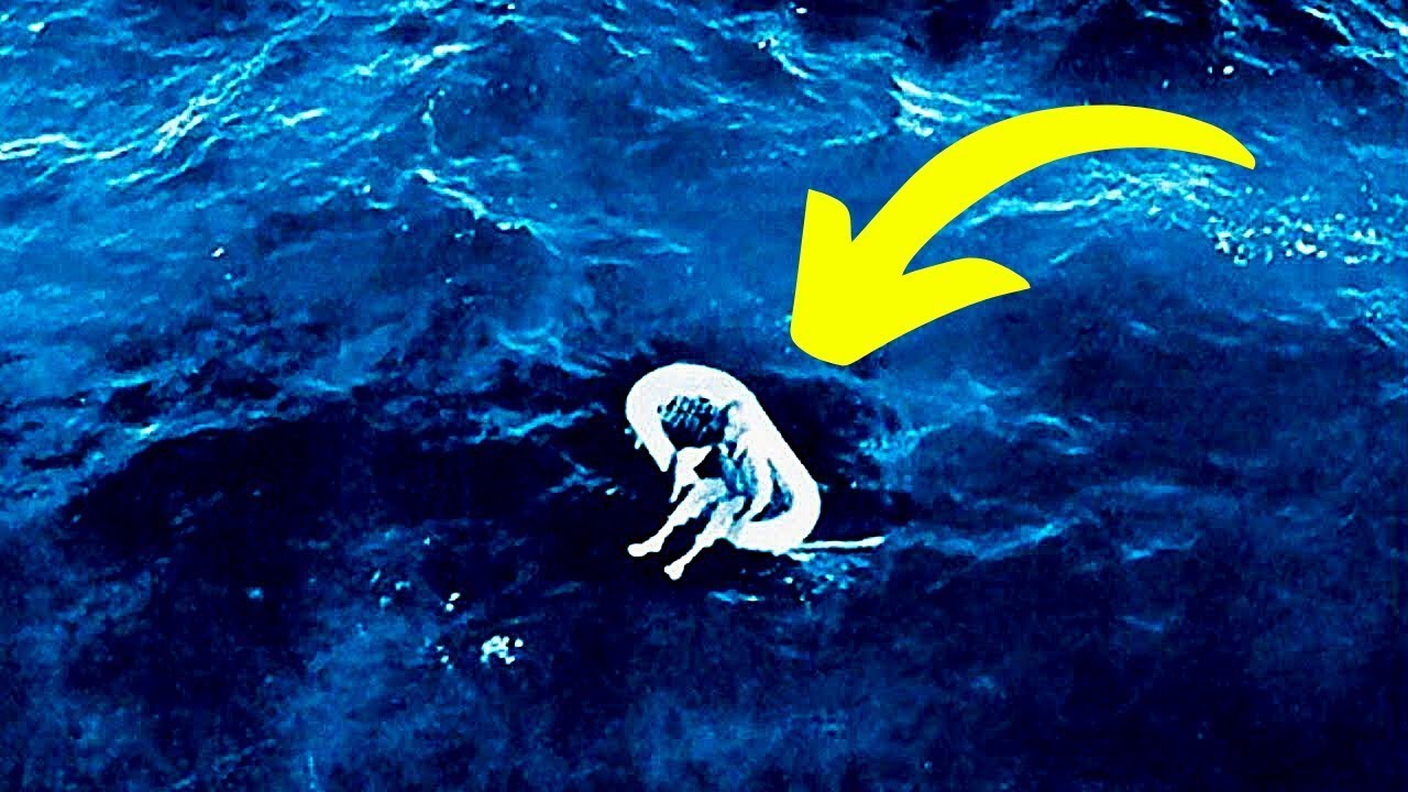 In 1961,This Little Girl Was Found Adrift At Sea Decades Later She