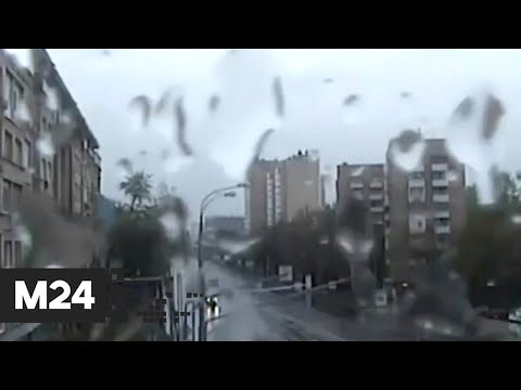 МЧС предупреждает москвичей о дожде и сильном ветре - Москва 24