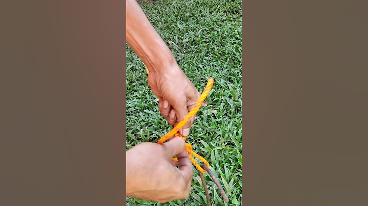 Genius Camping Rope Trick You Wish You Knew Sooner! ⛺🪢#knot #knottrick