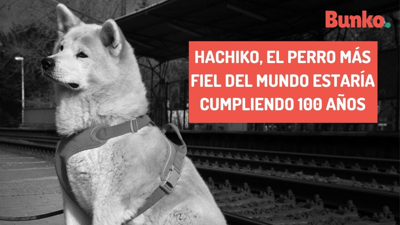 Hachiko, el perro más fiel del mundo estaría cumpliendo 100 años YouTube