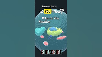 do you know what is the smallest unit of life...#shorts #shortsvideo #shortsfeed