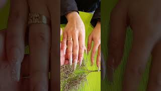 #nail #salons #near #me #952 #594 #0609 #22302021(5)