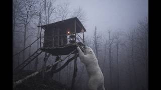 Building a bushcraft survival shelter in a tree to avoid bears during harsh winter