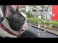 ドラマ「ラストマンー全盲の捜査官ー」に出演しました！