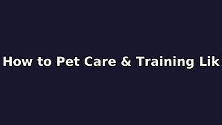 How to Pet Care & Training Like a PRO (Beginner's Guide)