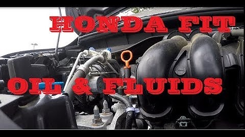How to check oil and fluids in HONDA FIT. Maintenance