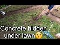 WORST YARD on the block is RESTORED! 4 videos in 1!