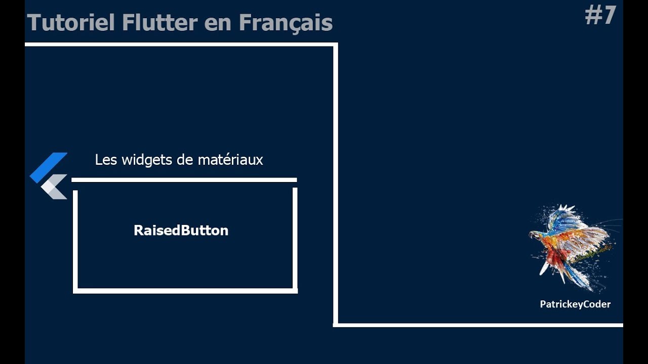 #7-Tutoriel Flutter en Français - RaisedButton