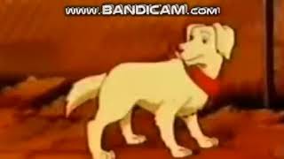 Scooby Gets Stuck Through The Fence For 201 Hours Reupload