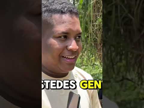 Ustedes lo deciden