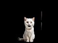 #hindisong #youtubeshorts #funny #pleasesubscribe