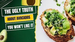 The Ugly Truth About Avocados You Won’t Like It